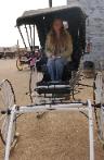 cherie_in_a_buggy-96x147